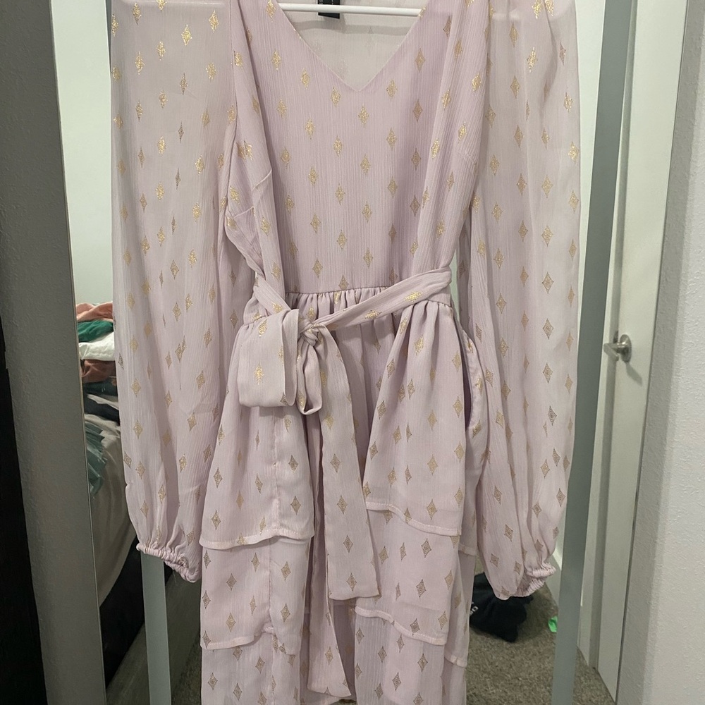 Forever 21 Light Pink and Gold Long Sleeve Dress